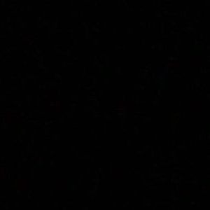 Meet your Posher, Joey