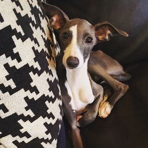 Meet your Posher, Angela