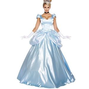 Cinderella Halloween Costume