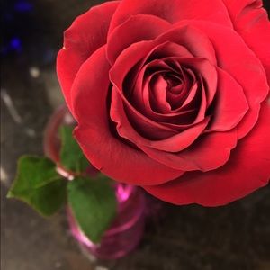 Meet your Posher, Sayaka