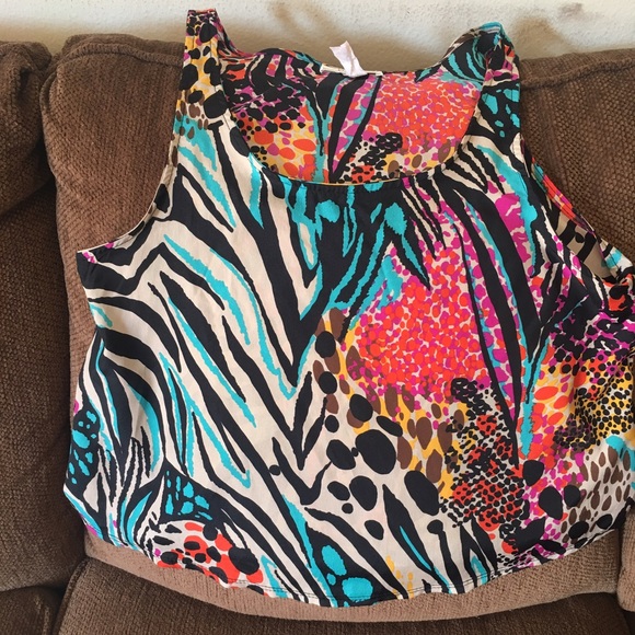 Zebra/multicolor blouse