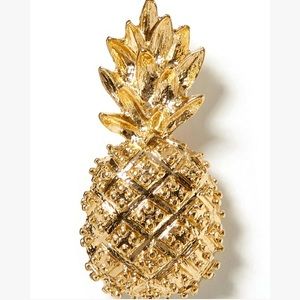 BR Pineapple brooch