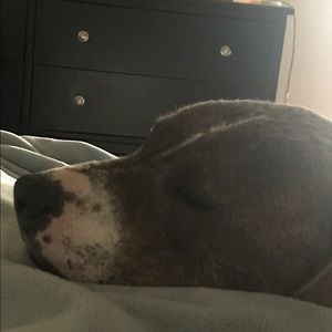 Meet your Posher, Steve