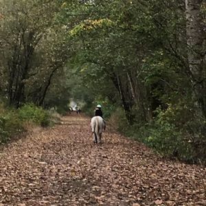 Meet your Posher, Betty jean