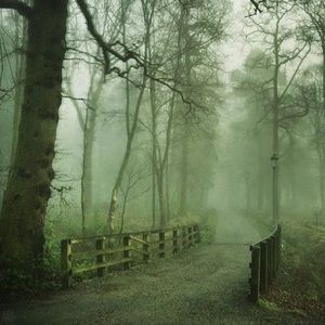 Meet your Posher, Tim