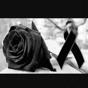 Meet your Posher, Francesca salvador