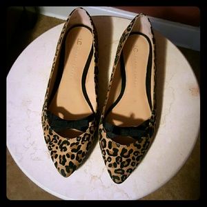 Lauren Conrad cheetah flats 9