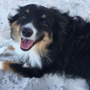 Meet your Posher, Lindsey