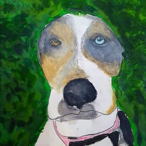 Meet your Posher, Harlan