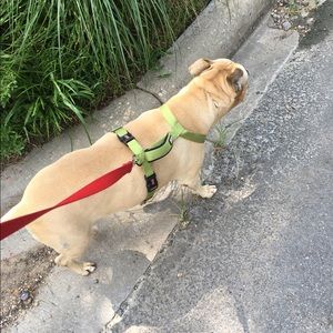 Meet your Posher, Meg