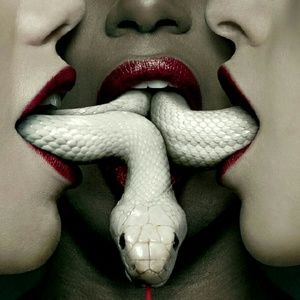 Meet your Posher, Desiree