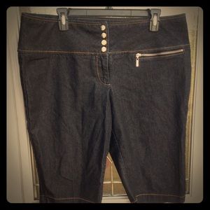 Bisou Bisou plus size 16