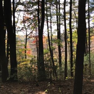 Meet your Posher, Natalia