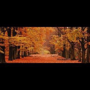 Meet your Posher, Susana