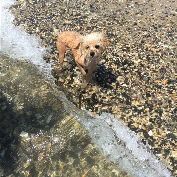 Meet your Posher, Kassidy - Picture 4 of 5