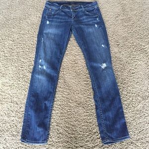 Hudson straight leg vintage style jean.