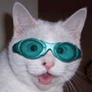 Meet your Posher, Shelly