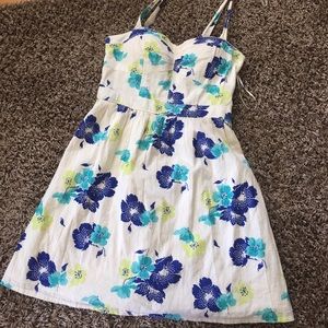 CUTE American Eagle SunDress