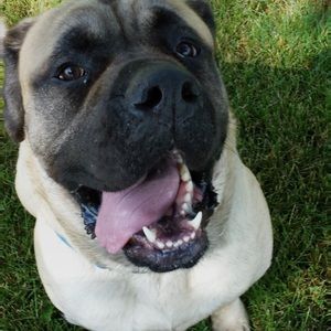 Meet your Posher, Willis