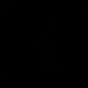 Meet your Posher, Lance