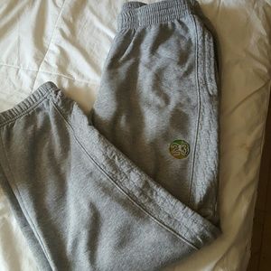 Jordan's bottoms sweats pants
