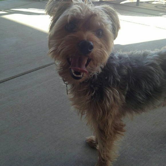 Meet your Posher, Marci - Picture 1 of 1