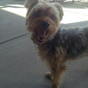 Meet your Posher, Marci