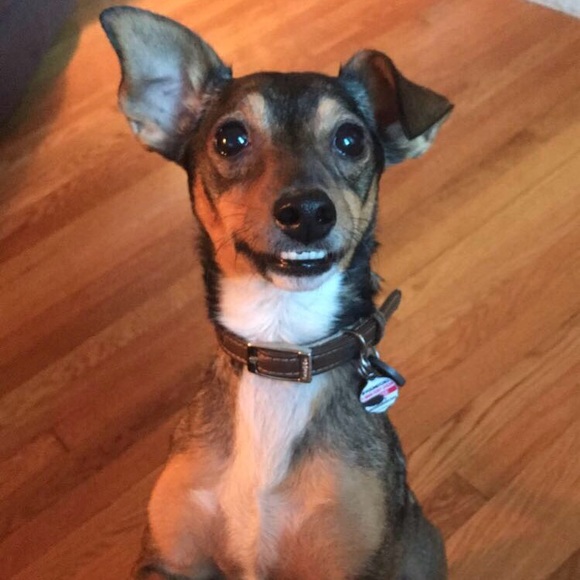 Meet your Posher, Jennifer - Picture 3 of 3