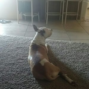 Meet your Posher, Alix