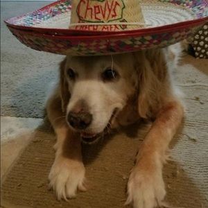 Meet your Posher, Ingrid