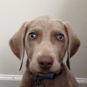 Meet your Posher, Salena