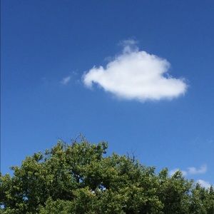 Meet your Posher, Mandie