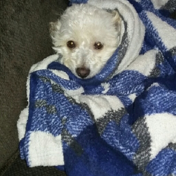 Meet your Posher, Danielle - Picture 1 of 1