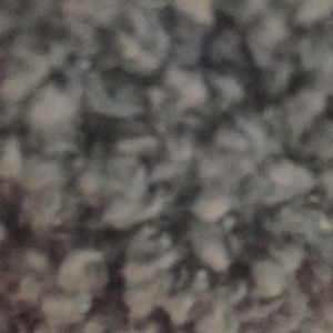 Meet your Posher, Monique