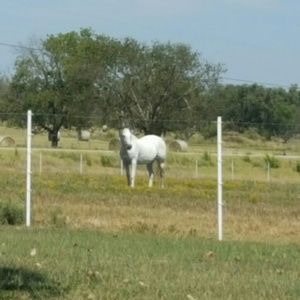 Meet your Posher, Natasha