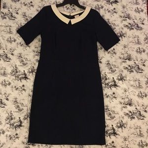 Half sleeve navy Peter Pan collar dress