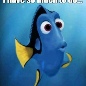 Meet your Posher, J.