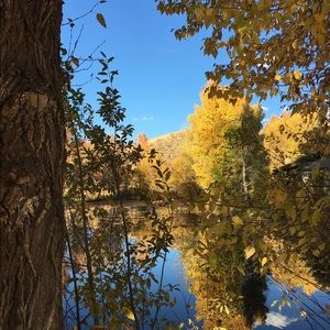 Meet your Posher, Robin