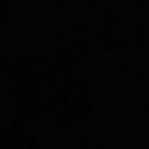 Meet your Posher, Raquel