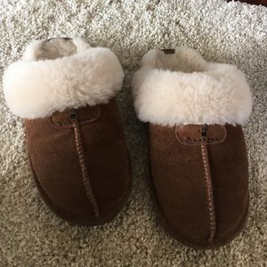 Bearpaw slippers