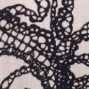 Meet your Posher, Rose