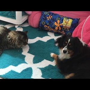 Meet your Posher, Katrina