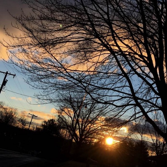 Meet your Posher, Dixie - Picture 1 of 1