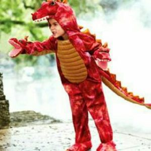 Dragon costume 6y