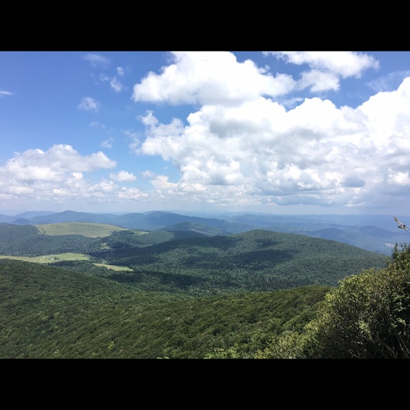 Meet your Posher, Millie