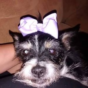 Meet your Posher, Patty