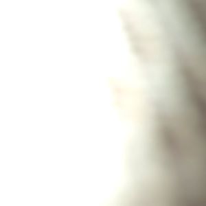 Meet your Posher, Bernie