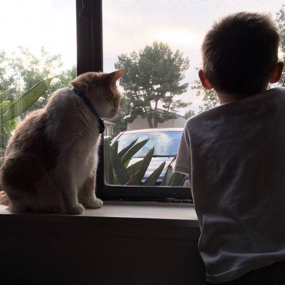 Hello, Friends! 😘 - Picture 2 of 4