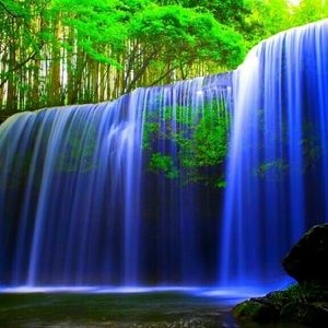 Meet your Posher, Nora