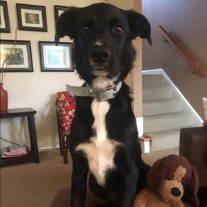 Meet your Posher, Kelly